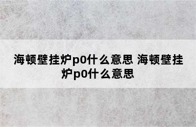 海顿壁挂炉p0什么意思 海顿壁挂炉p0什么意思